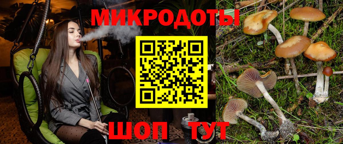 Галлюциногенные грибы ЛСД  Псилоцибиновые грибы мухоморы  Курган  Вход с VPN 