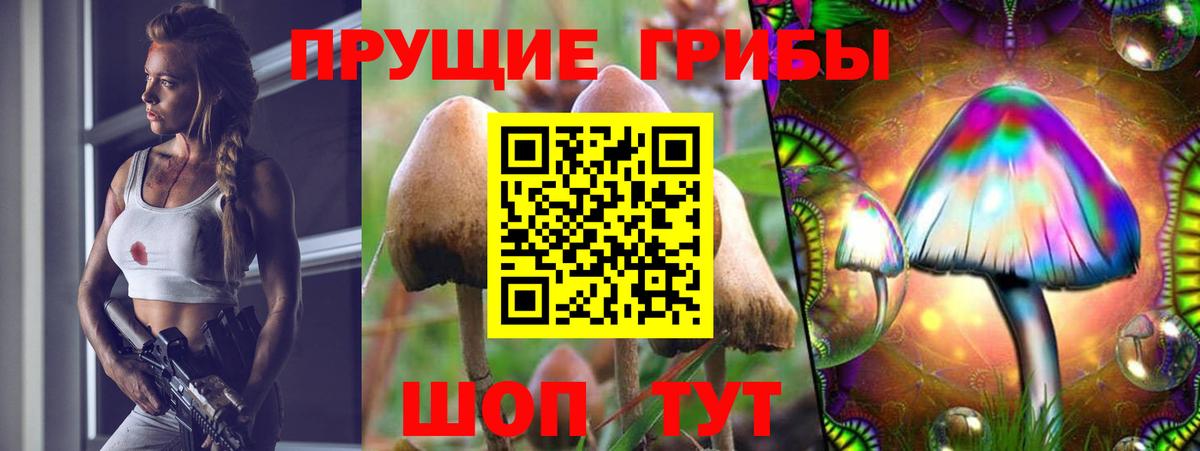 Псилоцибиновые грибы мицелий Курган
